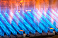 Dainton gas fired boilers